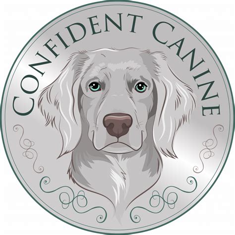 Confident Canine - The Holistic Gundog Trainer